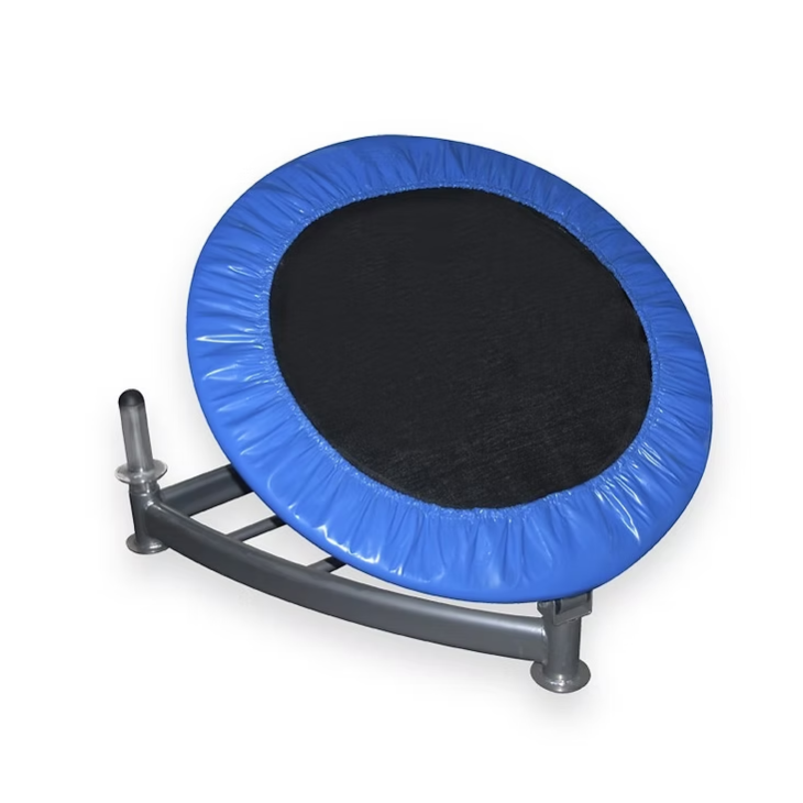 Reboteador Balón Medicinal